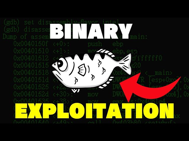 Binary Exploitation Is THE Future Of Hacking