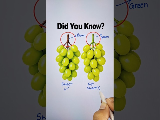 How To Buy Perfect Fruits Everytime 📖💯 #fruits #education #shorts