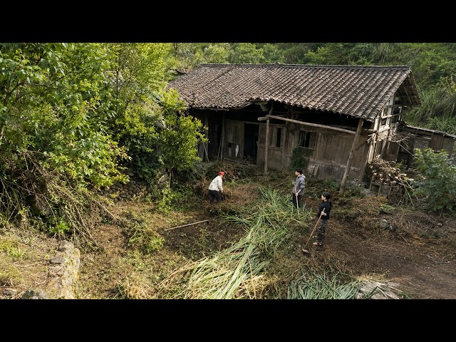 From Grass Taller Than a Person to Dream Home: Quit City House With Wife and Kids to Refurbish Farm