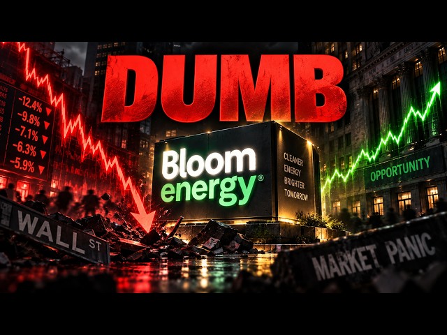 I Love How Dumb Investors Are