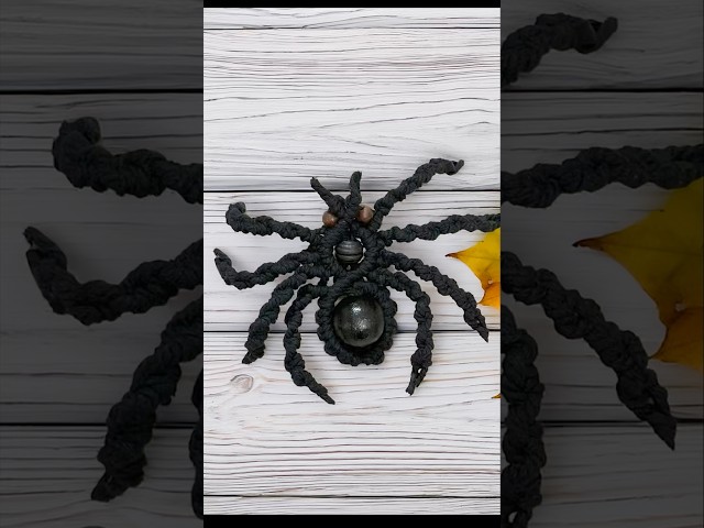 DIY Macrame Spider 🕷️ | Easy Halloween Decoration | Macrame Tutorial