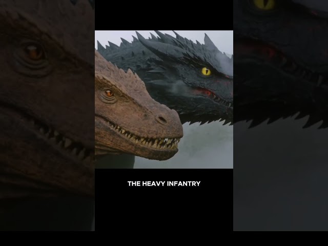 Brown Dragons, Kaori's Field Guide (Fourth Wing) #booktok