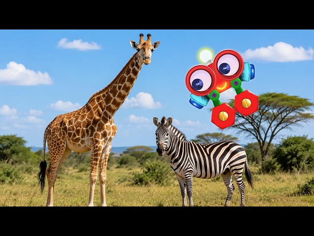 Learn Animals for Kids! | Educational Video | My First University