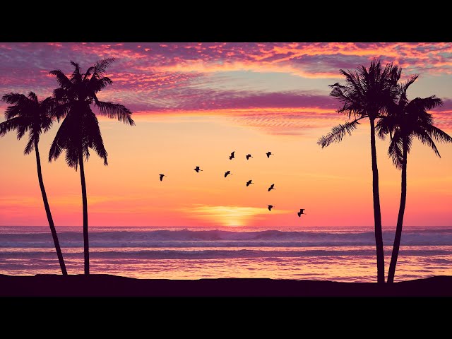 Music to Study and Concentrate with the Whole Brain ☯ Alpha Waves ☯ Relaxing Music to Read