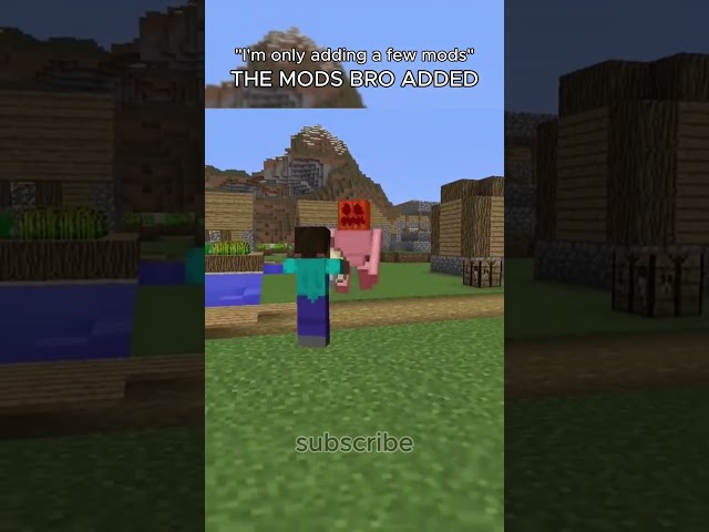 Bro Turned Minecraft into a Fever Dream