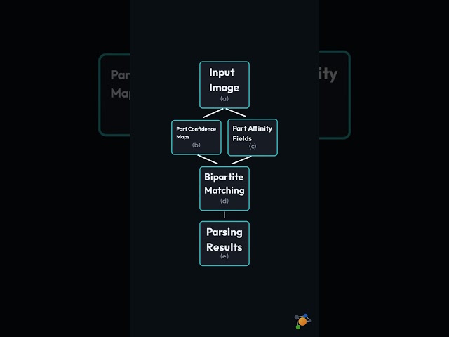 Part Affinity Fields (OpenPose)