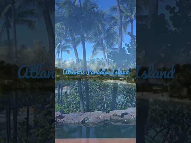 Atlantis Paradise Island Nassau Bahamas🌴😍#Shorts#