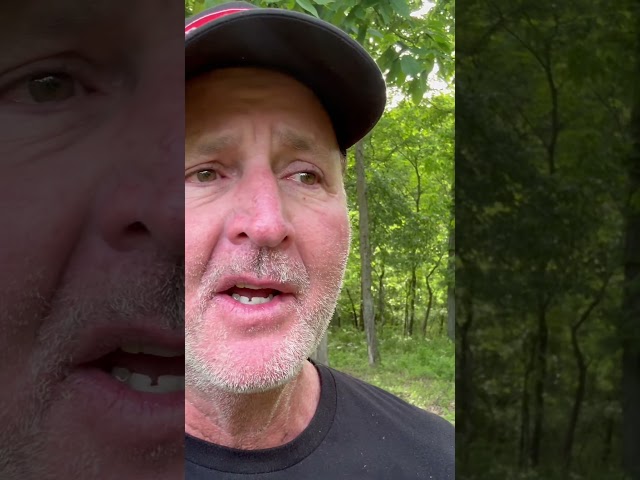 The Best Music For Fishing