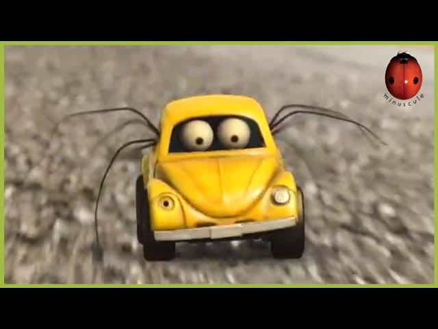 Mad fly | Minuscule