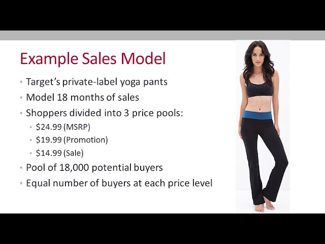 Pricing Analytics: Optimizing Sales Models