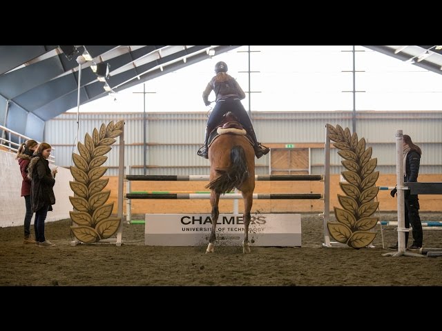 Chalmershindret 2017 - The Chalmers Fence 2017