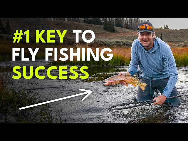 Game-Changing Presentation Tips for Fly Fishing Success | Episode 3