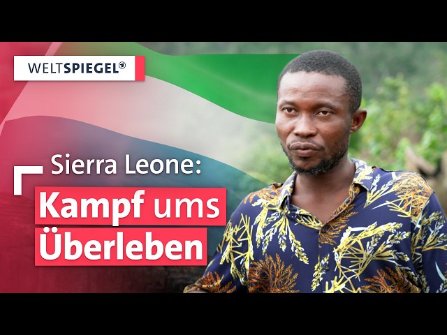Hitze, Hunger, Hoffnung:  Sierra Leones Kampf gegen Klimawandel und Entwaldung  | Weltspiegel