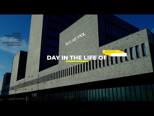 Day in the life of...