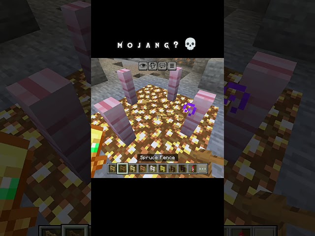 why mojang? 💀