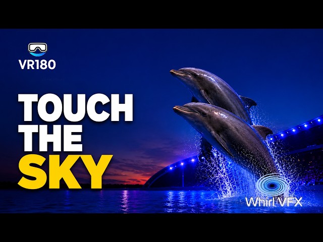 Dolphins: Touch the Sky | SeaWorld Orlando Electric Ocean 2026 | 3D 8K VR180
