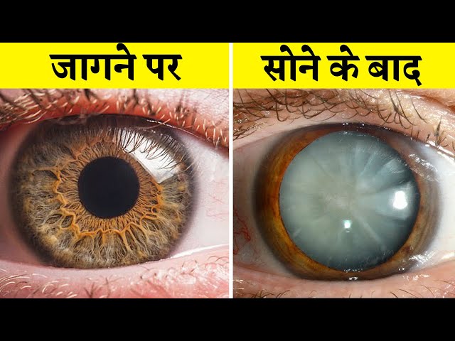 इंसानी सरीर के ऐसे रहस्य जो आपके होश उड़ा देंगे 😮 SHOCKING THINGS ABOUT OUR HUMAN BODY