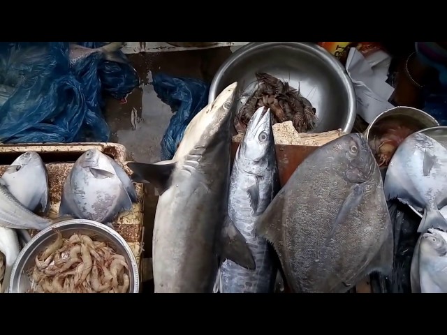 Large Fish Market In India 2017 - Biggest Fish Market 2017 - Cutting Fish In Village Market 2017