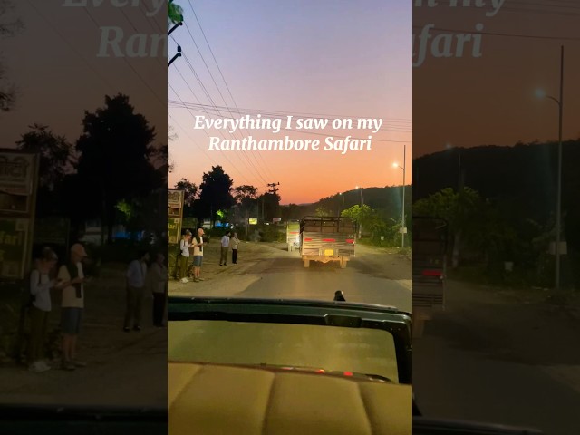 My Safari at Ranthambore #pov #safari #ranthambore