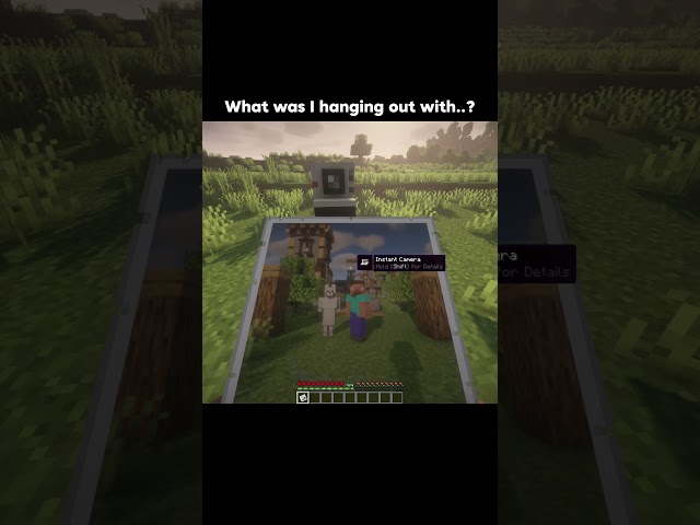 Never again