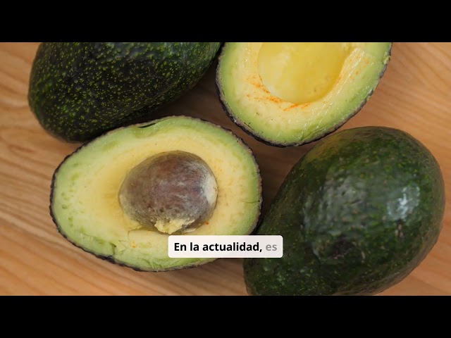 7 Datos Curiosos sobre la Comida que NO SABÍAS | ¡Sorpréndete con lo que comes!