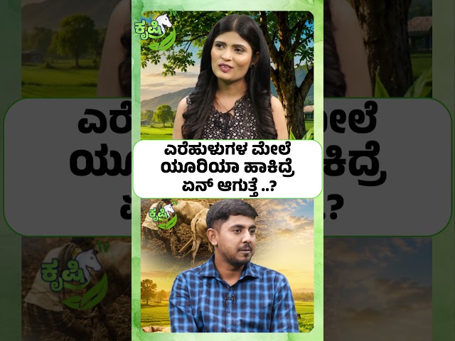 ಎರೆಹುಳುಗಳ ಮೇಲೆ ಯೂರಿಯಾ ಹಾಕಿದ್ರೆ ಏನ್ ಆಗುತ್ತೆ..? UREA VS EARTHWORMS