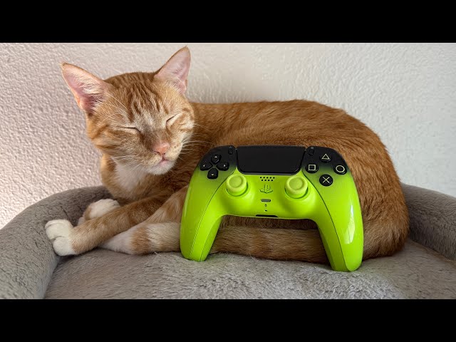 Remix Green PS5 DualSense Controller 🔥 (Up Close Look!)