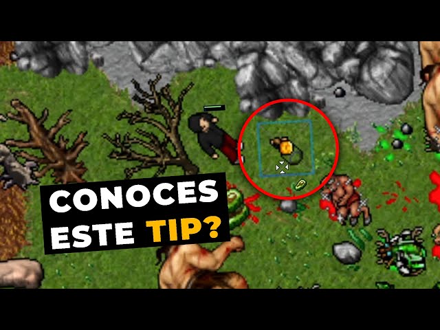 5 TIPS FOR TIBIA BEGINNERS