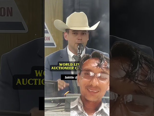 ​Indonesian Reaction to American Cattle Auction: SO FAST! 🐮🇺🇸
