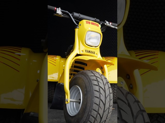 🤩 Rare Tri-Moto 125