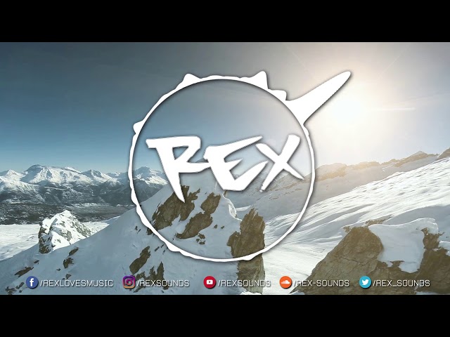 M. Fischer, Solid Texture & RHz - Won't Forget You 👑 Rex Sounds