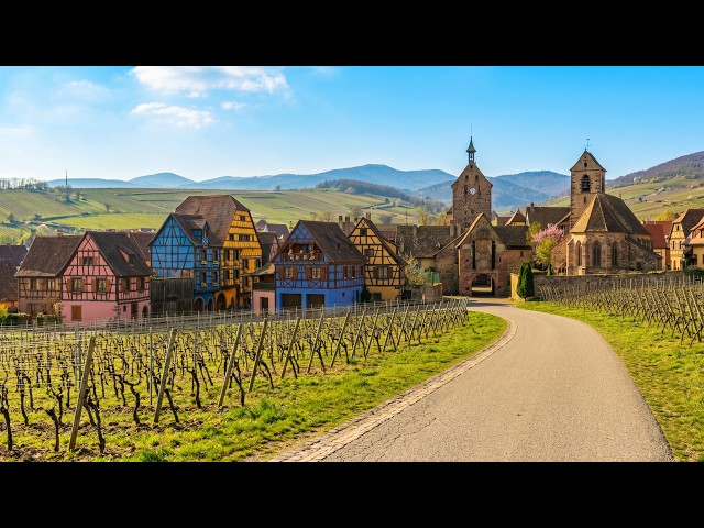 Fairytale Cycling in Alsace | Ribeauville Wine Route | 4K Virtual Bike Ride