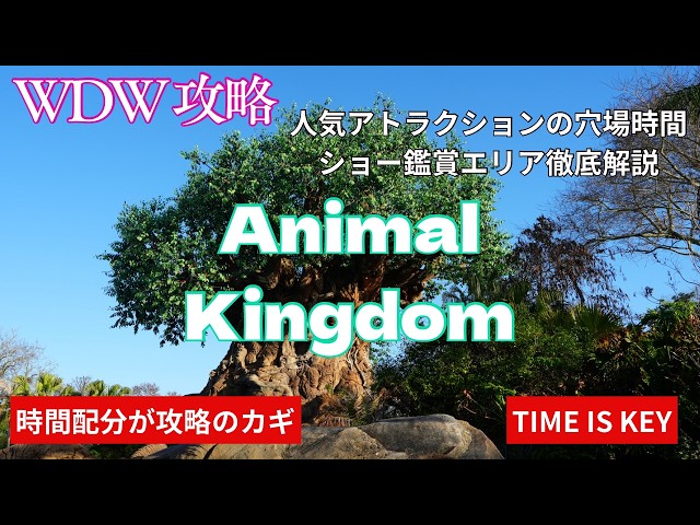 Animal Kingdom Guide: Beat the Crowds & Enjoy Popular Rides and Shows