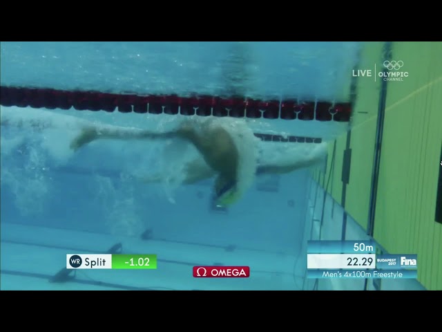 Dressel Flip Turn