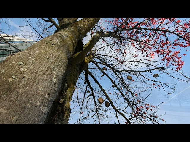 Portland River walk slide show -- 3d VR 180
