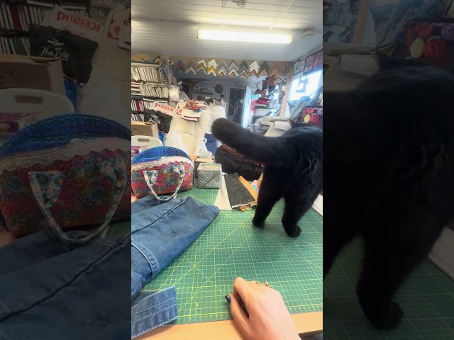 Black Cat Tom interference! #cat #patchwork #quilted