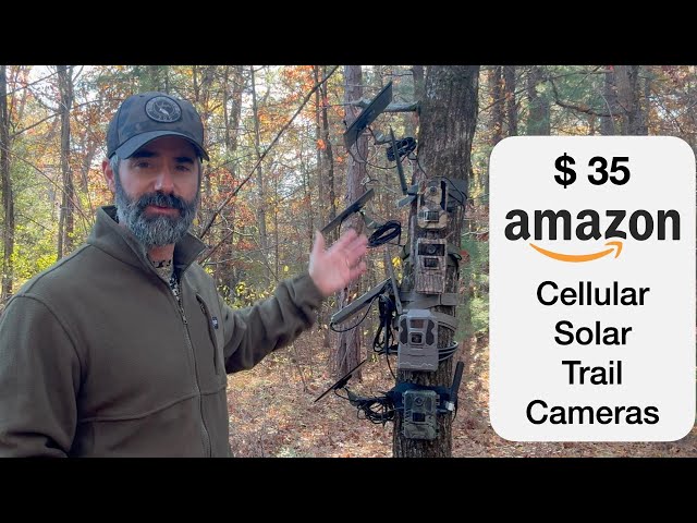 Amazon Cellular Trail Cameras vs Tactacam Reveal - Test and Review