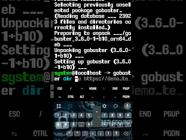 $ gobuster in Linux# command