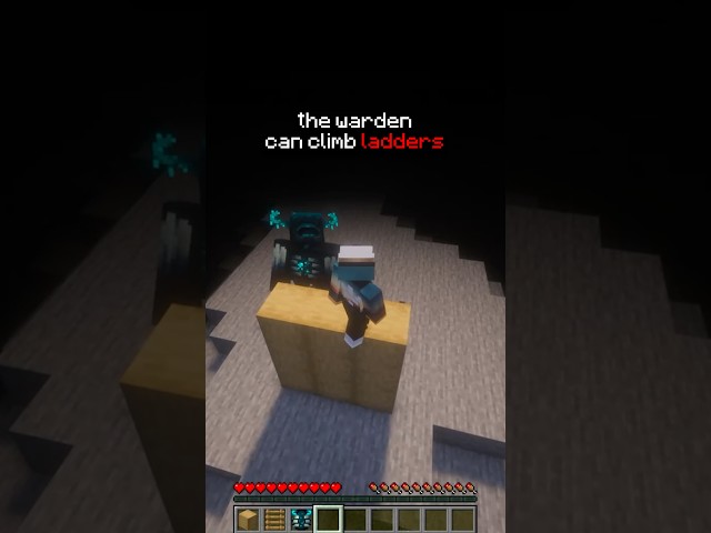 I Didn’t Think The Last Minceaft MYTH Was REAL 🤯 #minecraft #shorts