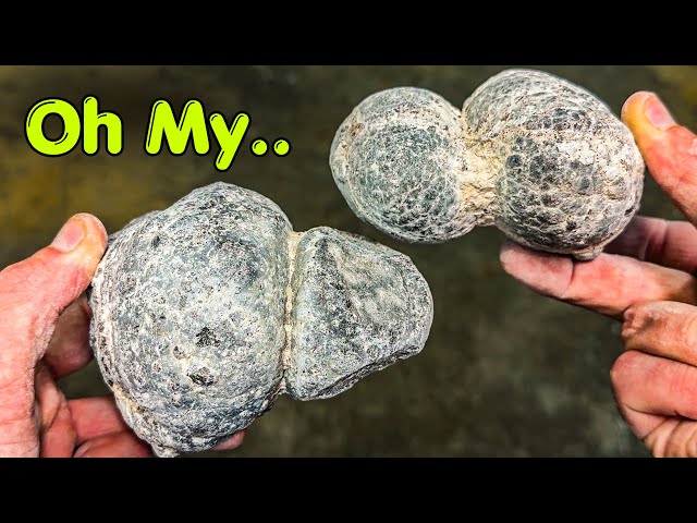 I Bought Cheeky Rocks to Cut Open.. (Secret Inside!)