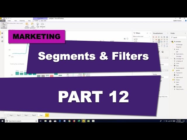 Power BI Course for Beginners (Part 12 Segments and Filters)