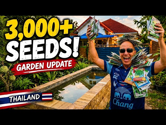 Ep.18 - My Thailand Garden Is About to Explode With Colour 🌼 Weekly Garden Update