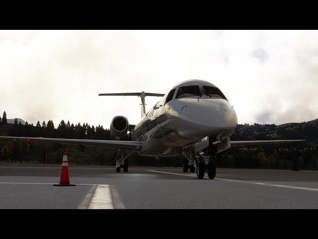 The WORST Payware I've ever tried... | Sim Federation ERJ 145