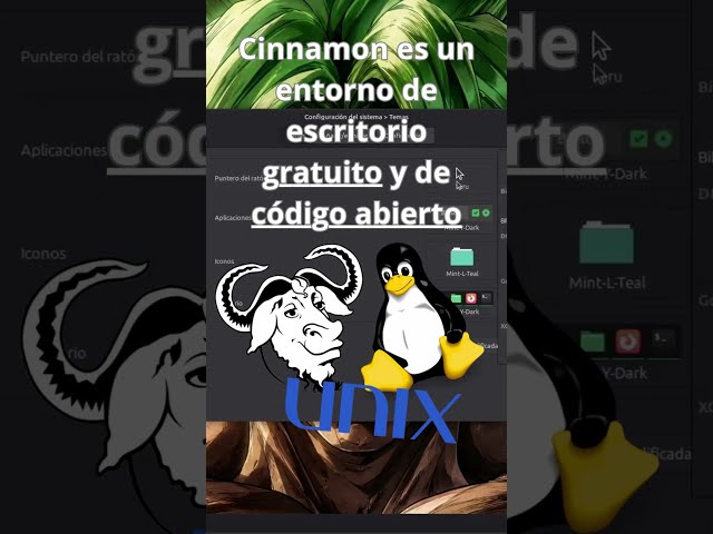 The Secret History of Cinnamon 🖥️ #cinnamon #linuxmint #linux #opensource #gnulinux #techfacts