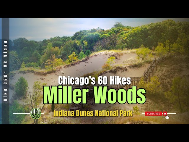 Miller Woods, Indiana Dunes National Park - Chicago's 60 Hikes (Hike 360° VR Video)