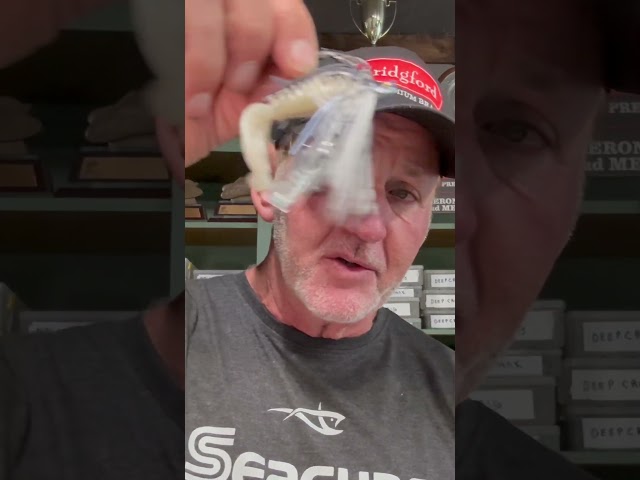 Best May Lures