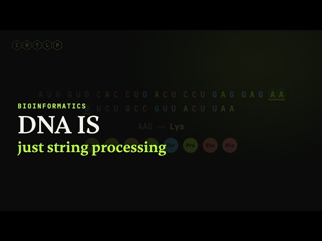 I Decoded a Gene in Pure Python (DNA to protein, from scratch)