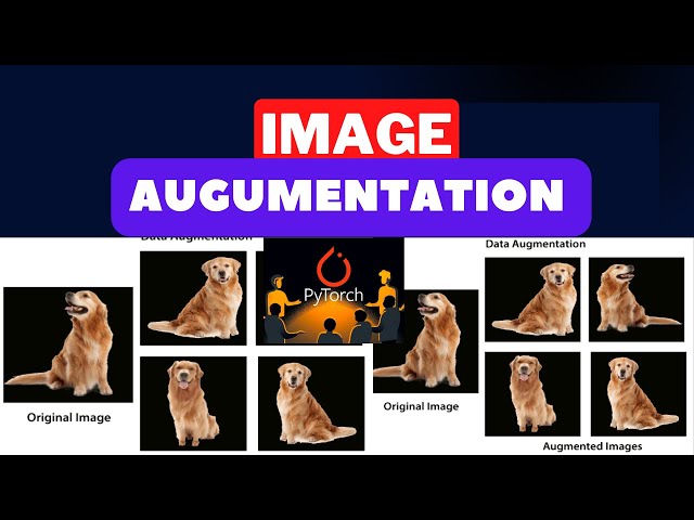Image Augmentation for Everyone Using PyTorch