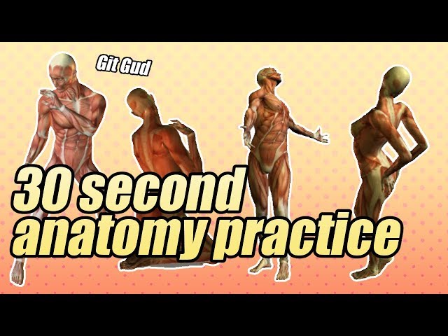 Improve your Anatomy! Posemaniacs 30-second gesture drawings