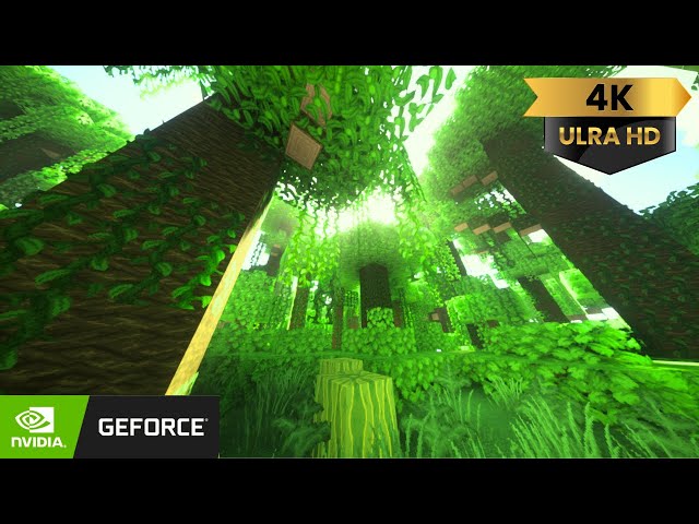 Want CRAZY Minecraft Graphics? Watch This Now!